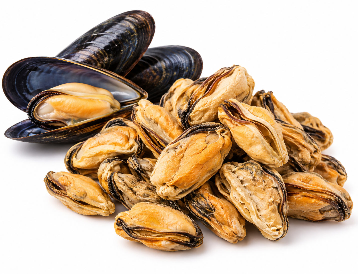 Raw Half Shell Blue Mussel