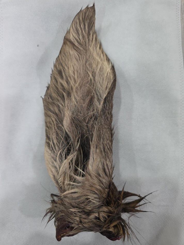 Air Dried Venison Ear - Totally Raw