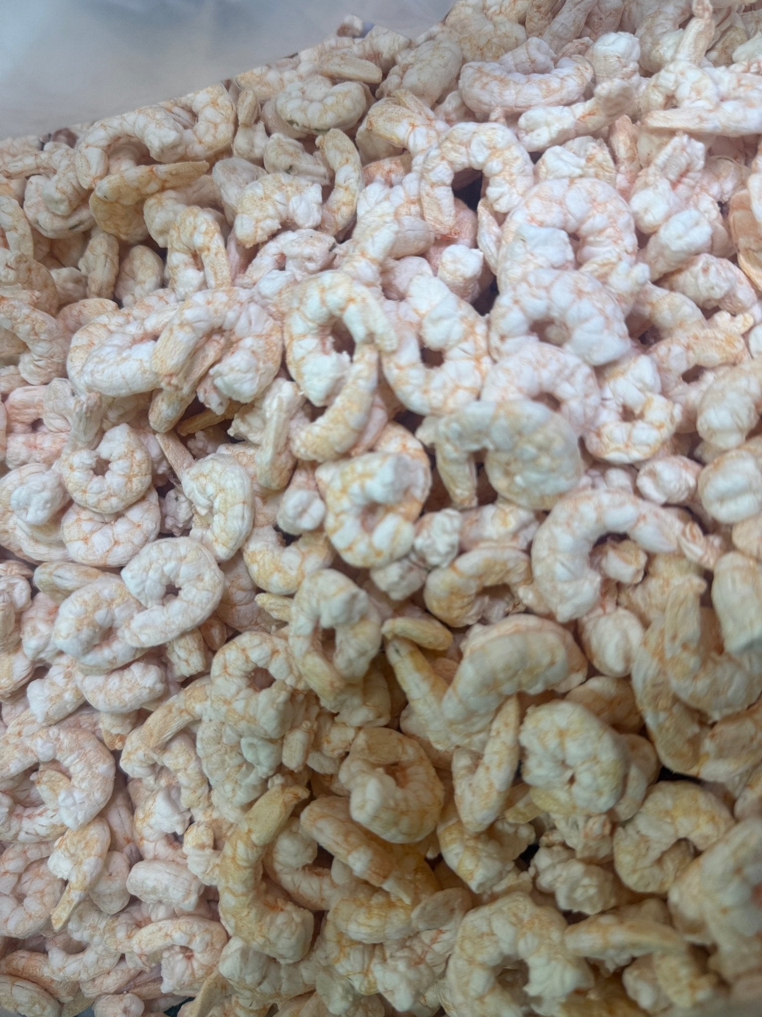 Freeze Dried Small Shrimp - Totally Raw