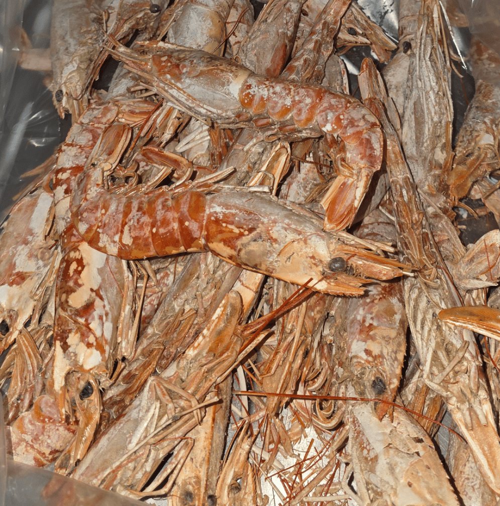 Freeze Dried Subscription Box - Totally Raw