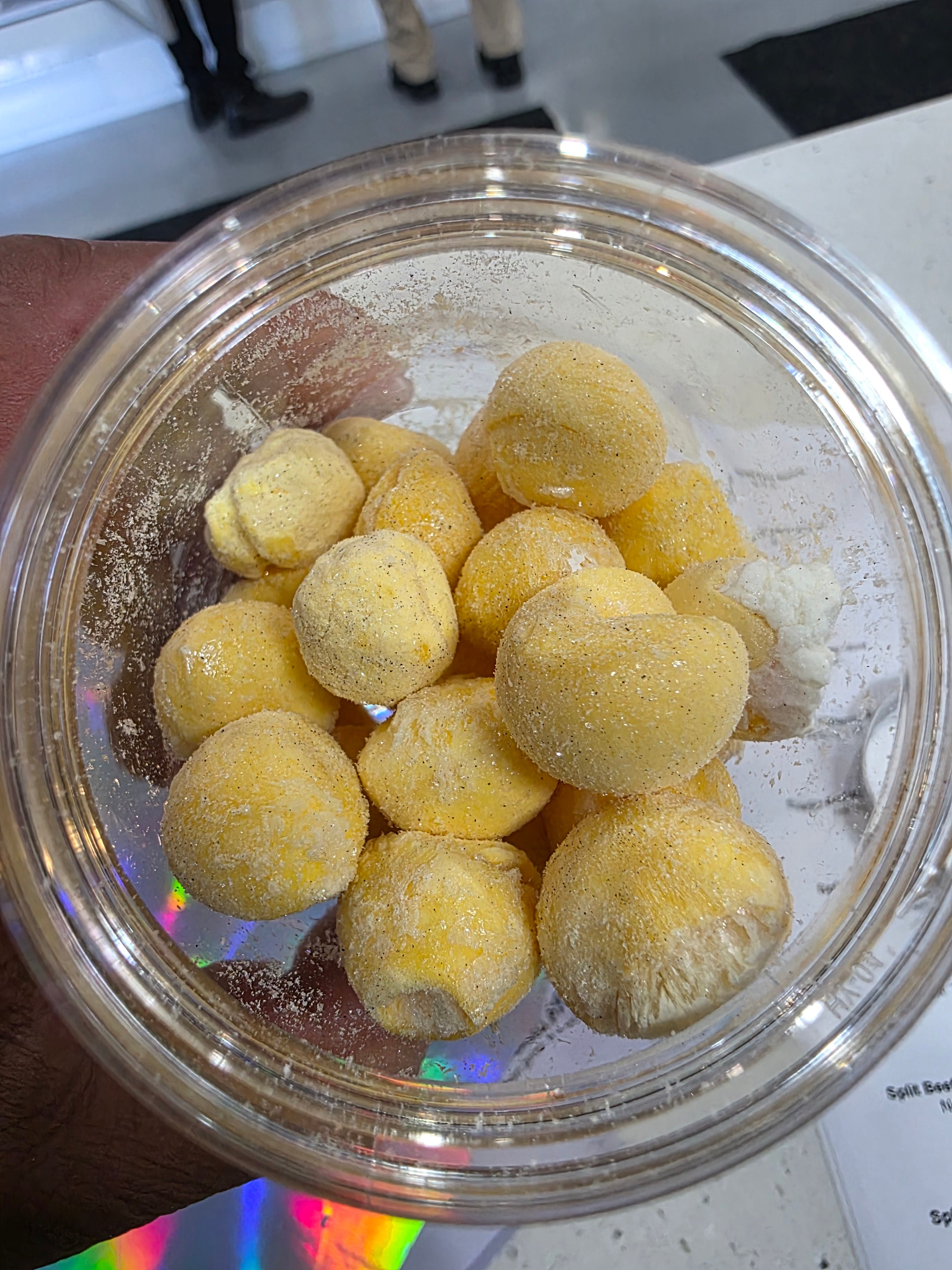 Whole Freeze Dried Quail Yokes