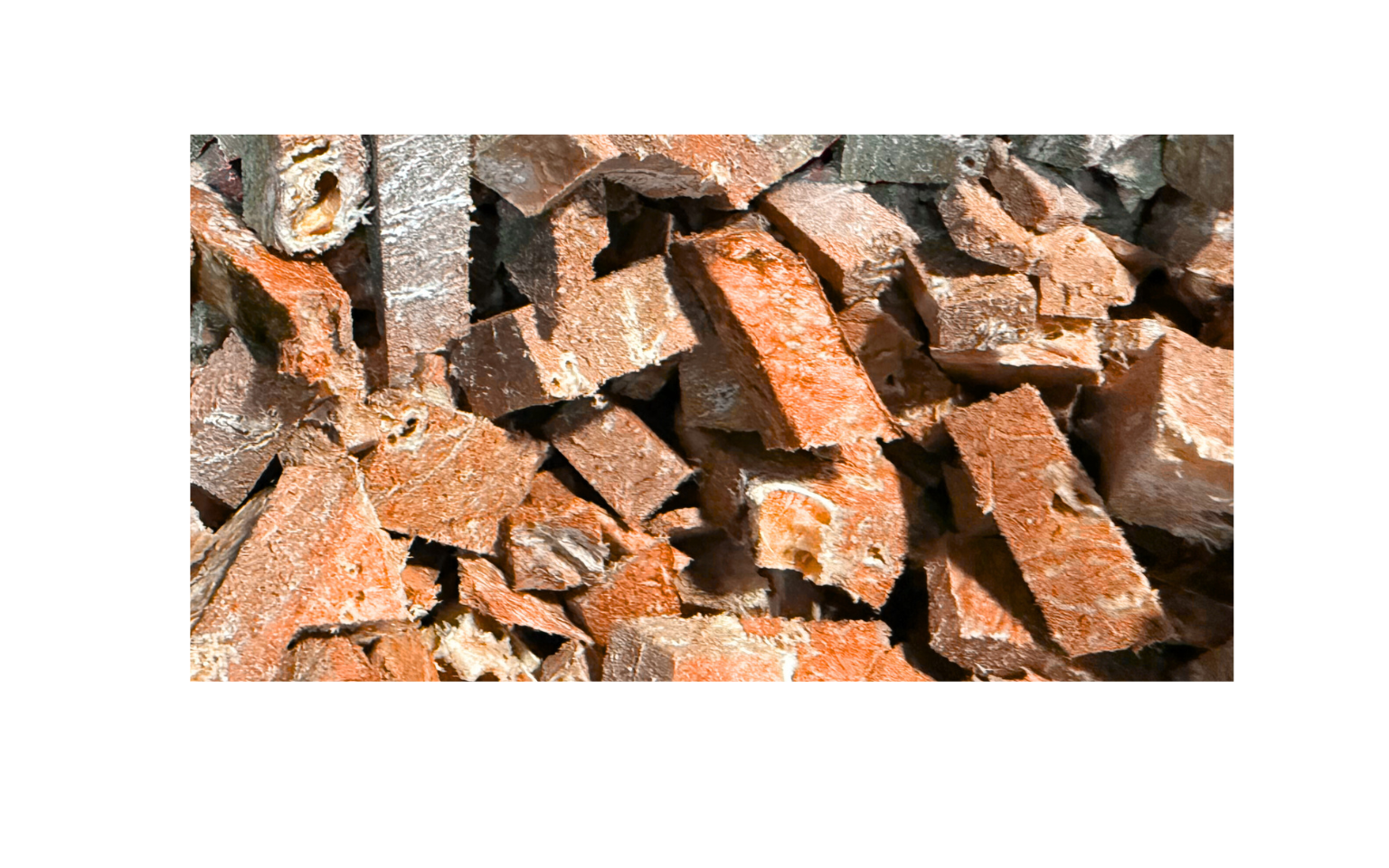 Freeze Dried Beef Lung Bites