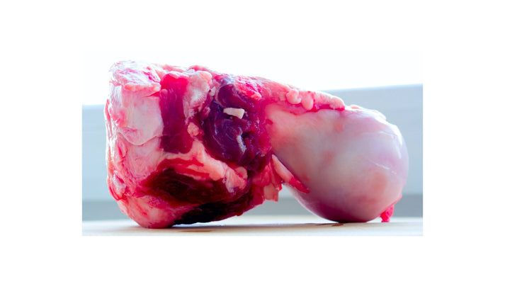 1 Beef Knuckle Bone - Happee Dawg