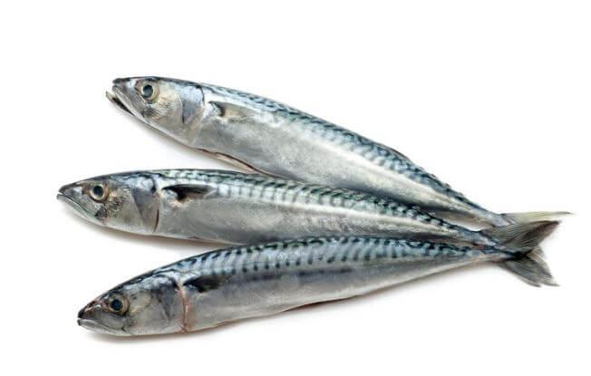 Bulk Sardines 30lbs (Pickup Only) - Happee Dawg