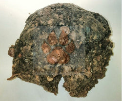 Ground Beef Green Tripe 2lbs Colton Pickup Only - Happee Dawg